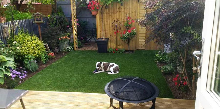 Artificial Grass After Pics