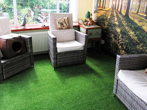 Conservatory Grass