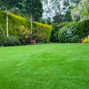 Synthetic lawn