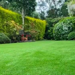 Artificial grass lawn